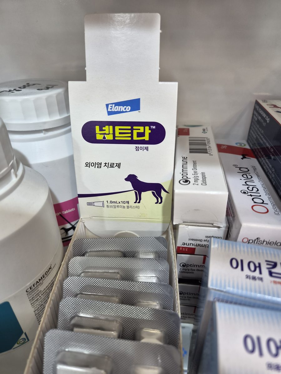 넵트라 (Neptra) 점이제 제품 사진