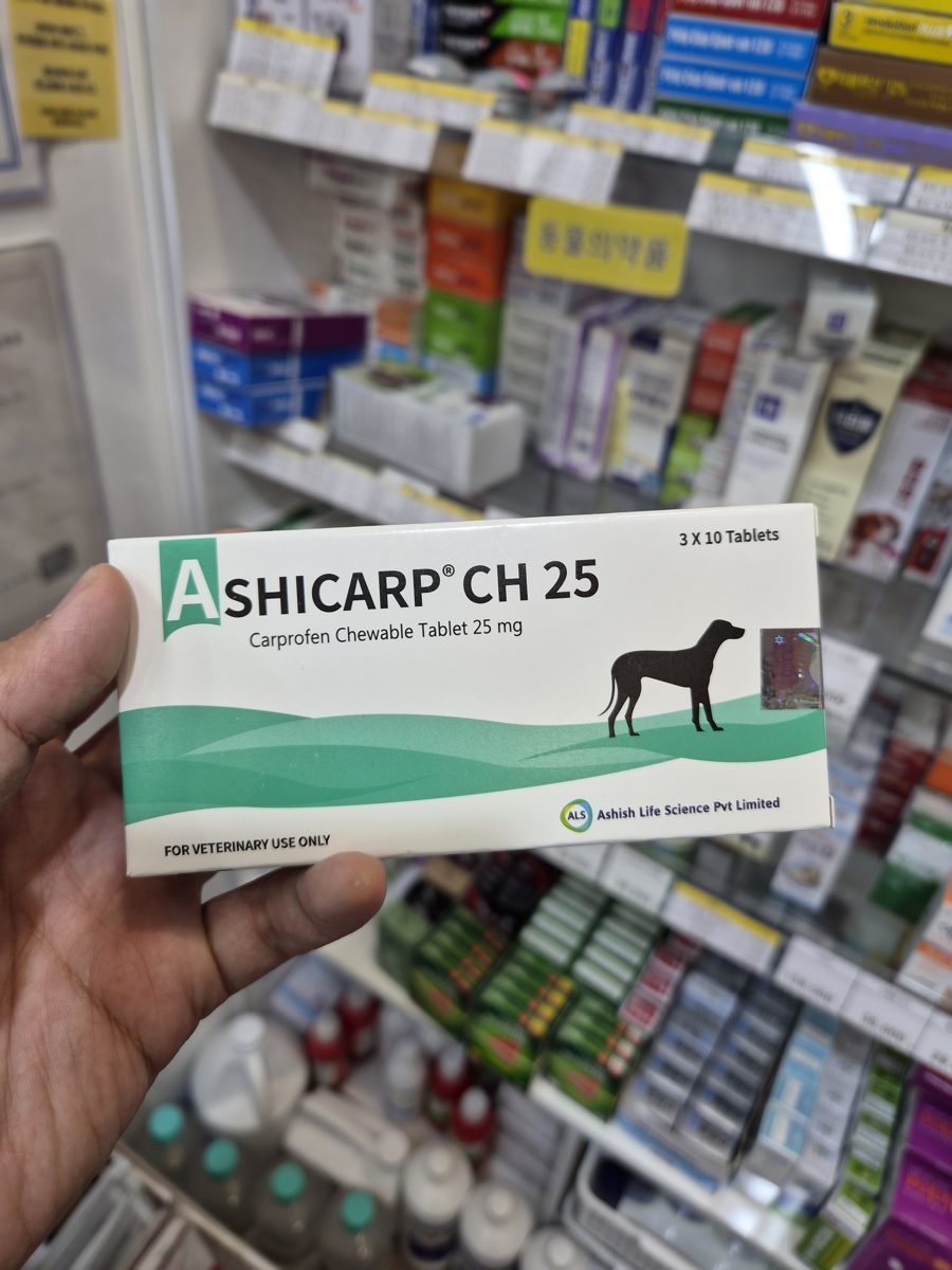 아시카프 츄어블정25 (Ashicarp) 제품 사진