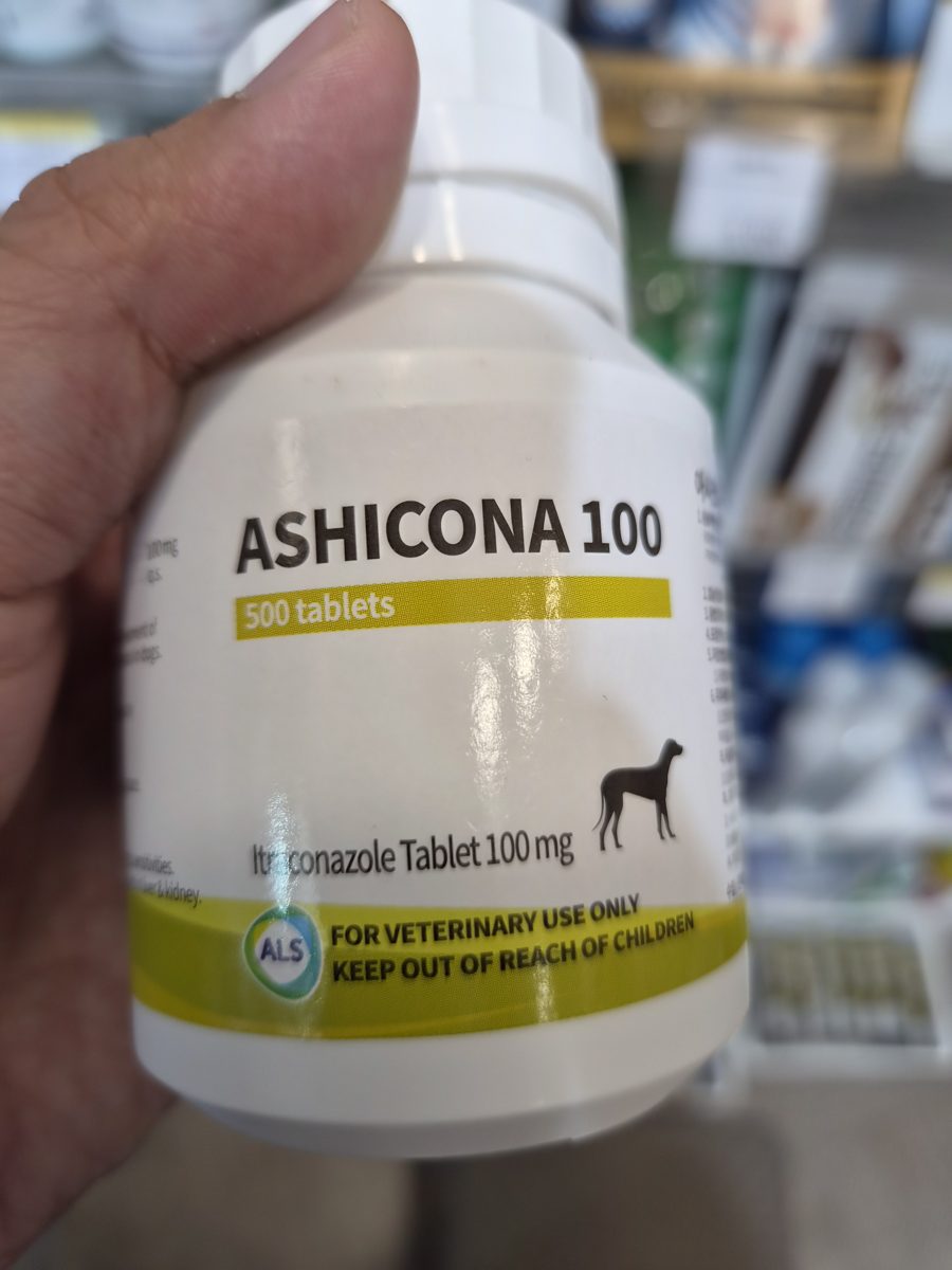 아시코나정100 (Ashicona) 제품 사진