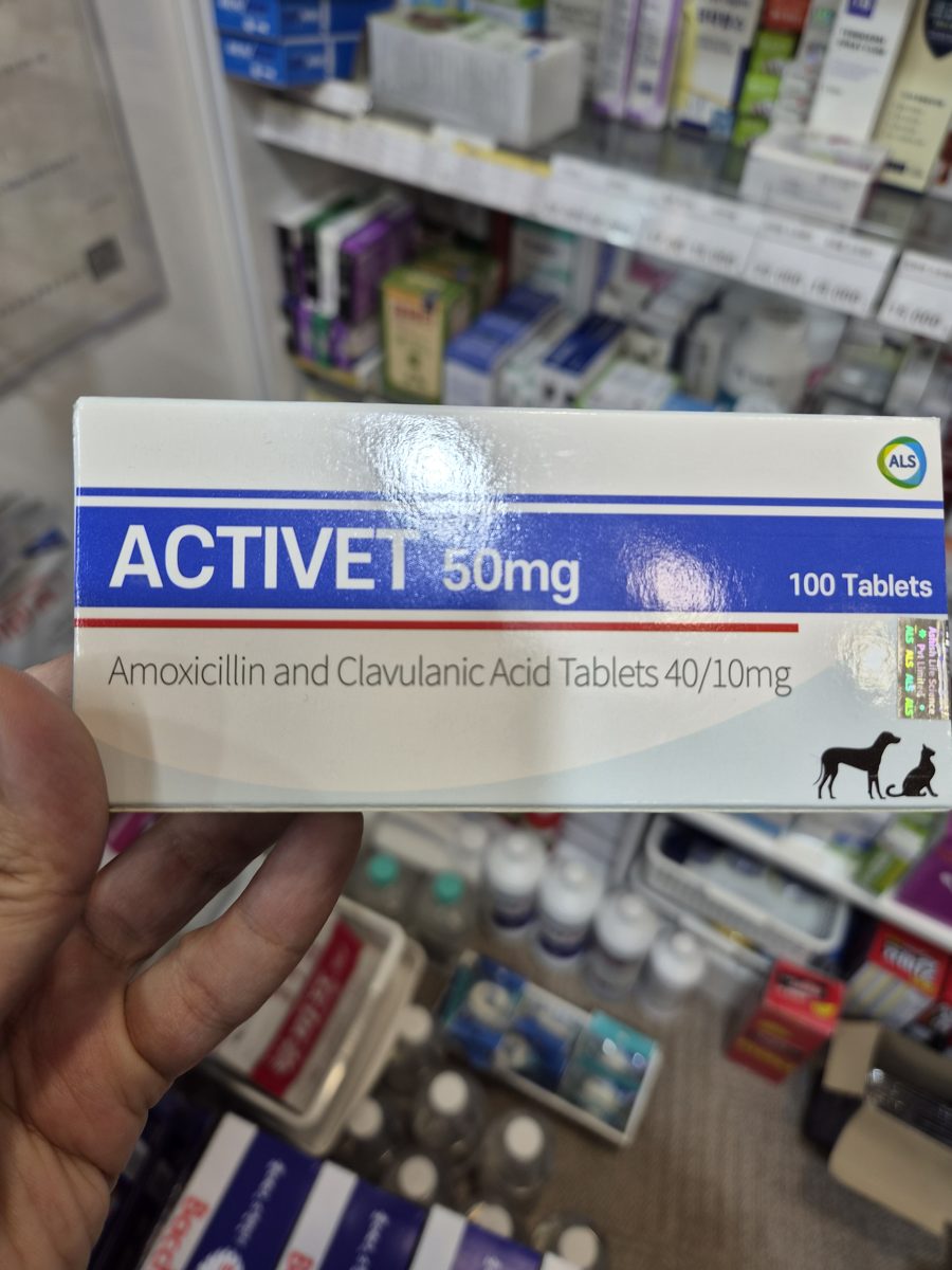 액티벳 50mg (Activet) 제품 사진